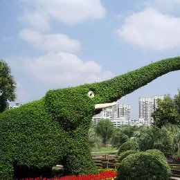 立体花坛大象造型